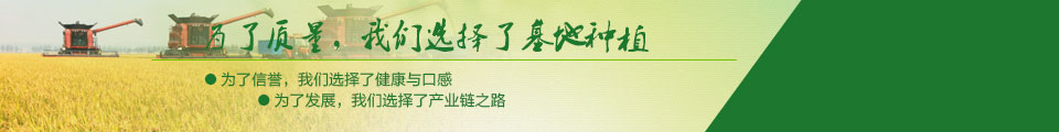 為了質(zhì)量，我們選擇了基地種植